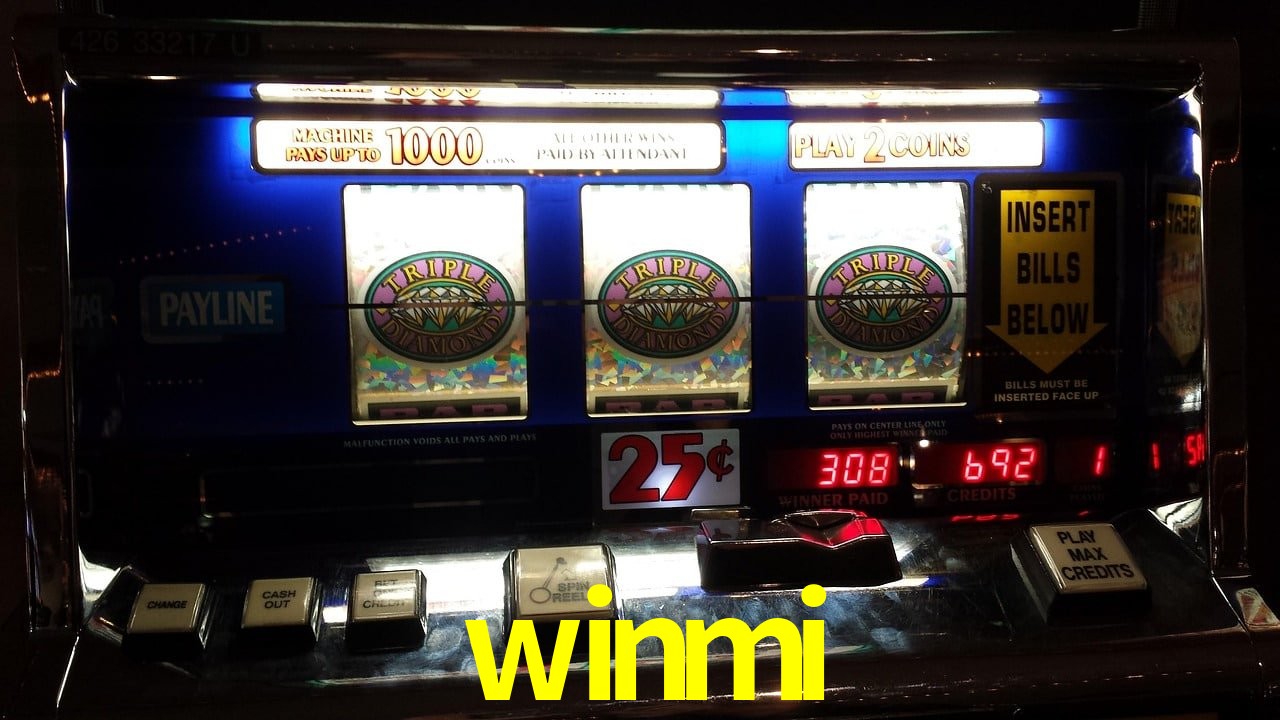 Experiência VIP winmi